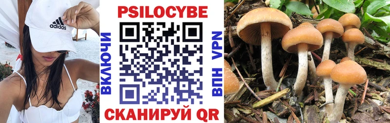 Псилоцибиновые грибы GOLDEN TEACHER  Егорьевск 