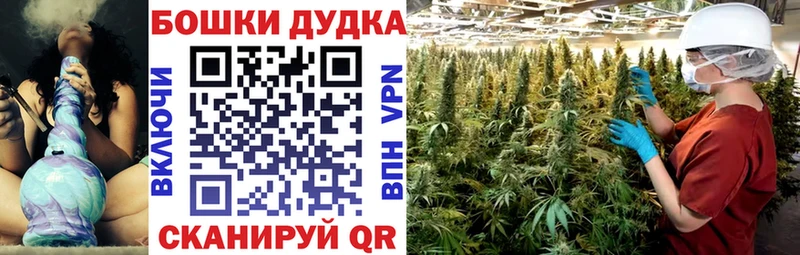 Шишки марихуана AK-47  продажа наркотиков  нарко площадка наркотические препараты  Егорьевск 